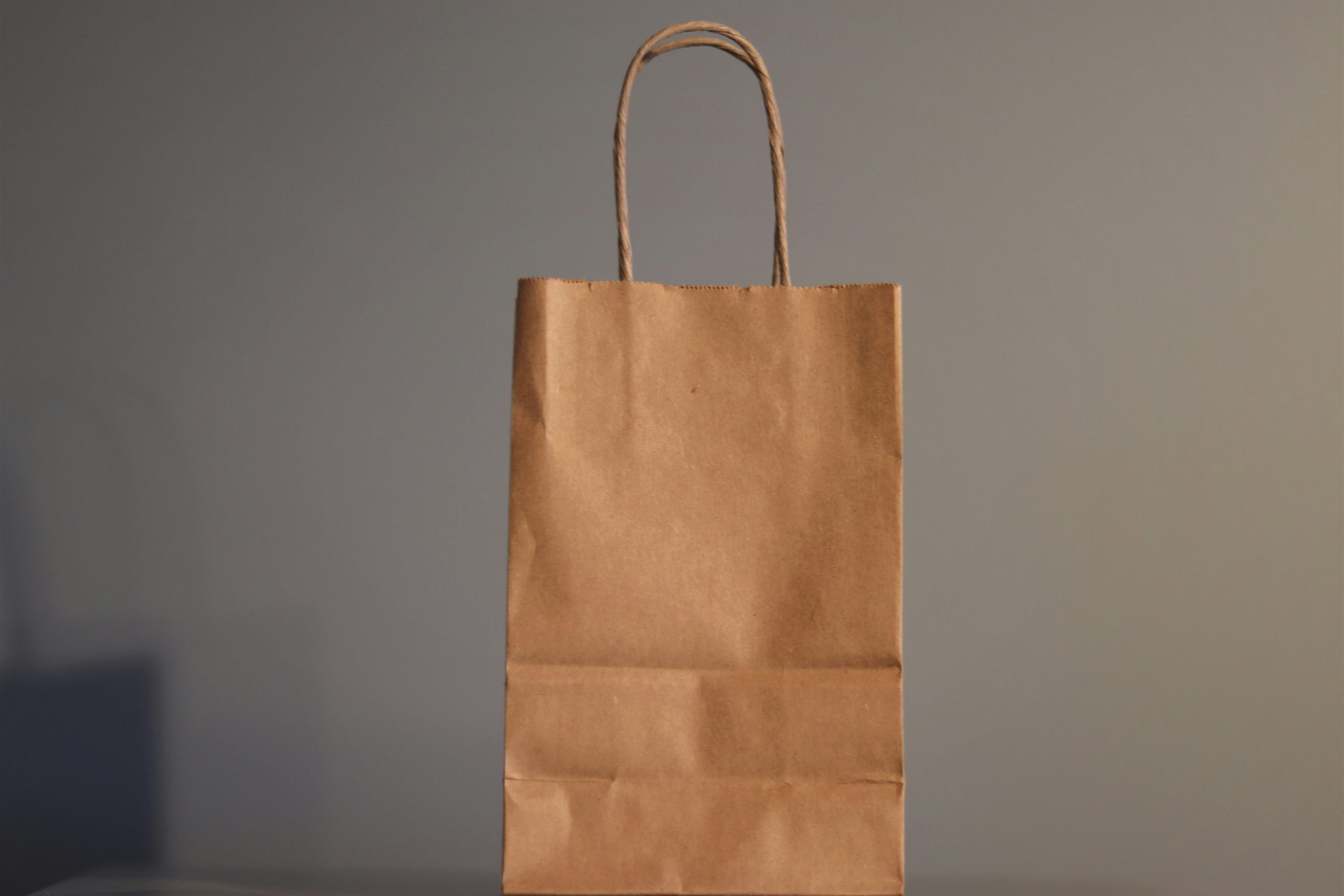 Paper Bags