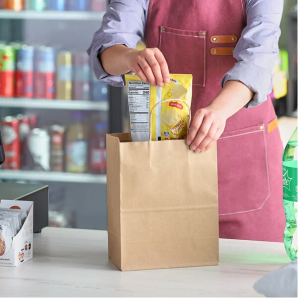 8 x 4 x 10 Natural Kraft Paper Shopping Bag with Handles – 250Case 2 8 x 4   x 10   Natural Kraft Paper   Shopping Bag with Handles - 250Case 2